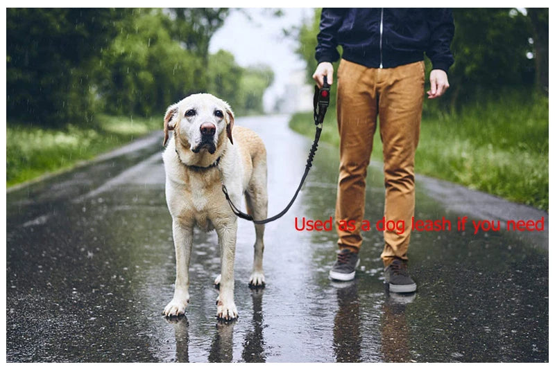 Solid Anti-shock Two-in-one Dog Harness Leash Pet Car Seat Belt with Clip Backseat Safety Belt  Kitten Collar Pet Accessories