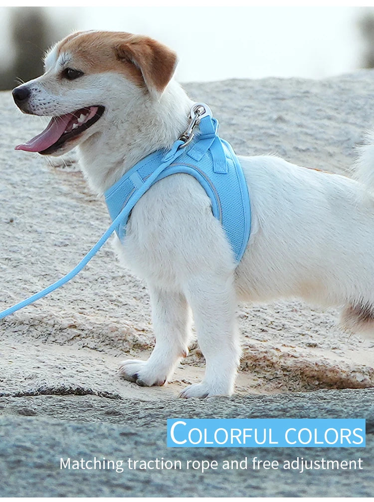 Dog Harness Leash Set for small medium dog Adjustable Reflective Puppy Cat Harness pet Vest Chihuahua Yorkies Outdoor Walking