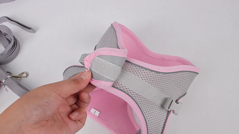Conjunto de arnés y correa para perros pequeños seguridad reflectiva y comodidad diaria