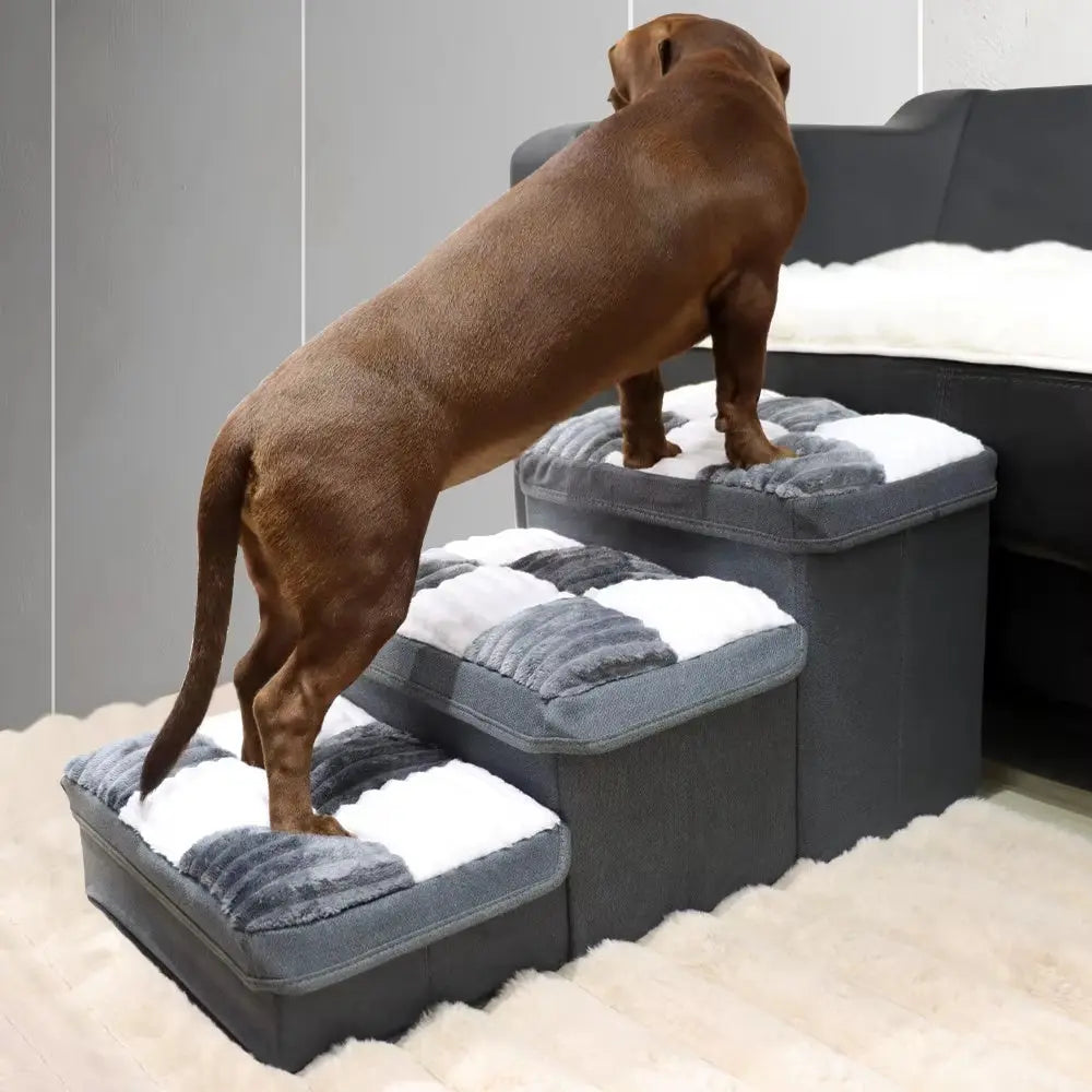 Escaleras Tipo Mueble – Para Perros y Diseño de Interiores con Estilo 🏠✨
