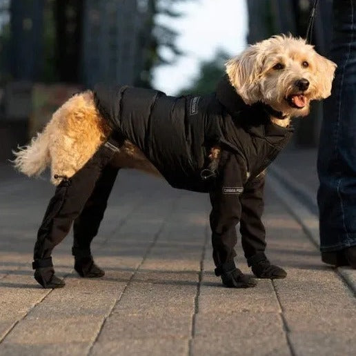 Waterproof Dog Shoes for All-Weather Protection