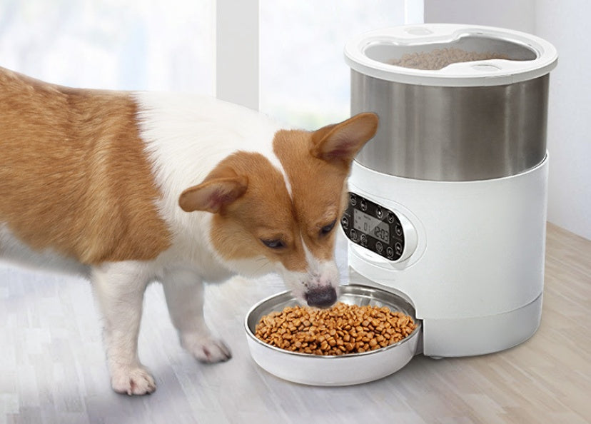 Comedero Automático con App. Alimenta a tu Mascota desde el Teléfono