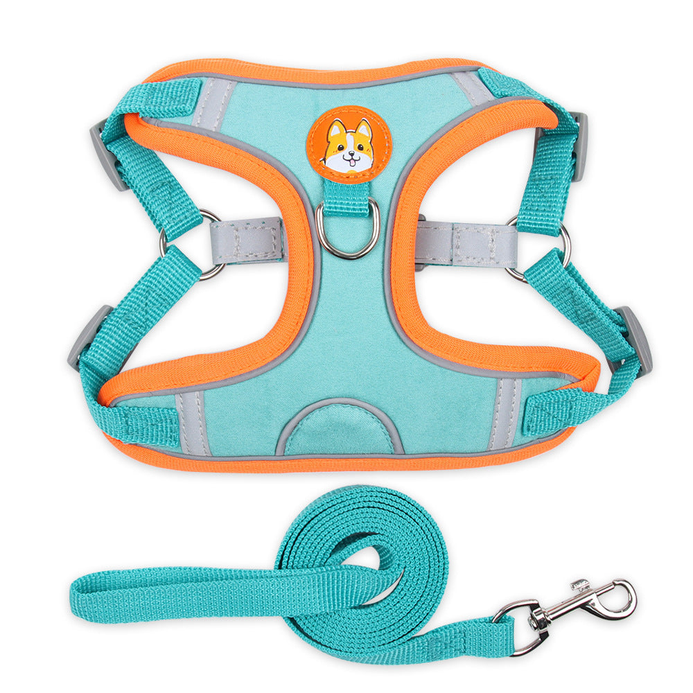 Tazón de Acero Inoxidable para Paseos
