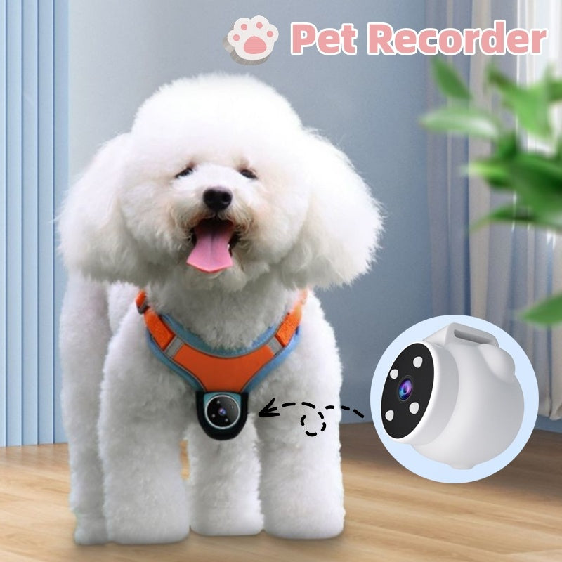 Cámara de Acción para Mascotas – Video, GPS y Visión de 170° en Tiempo Real