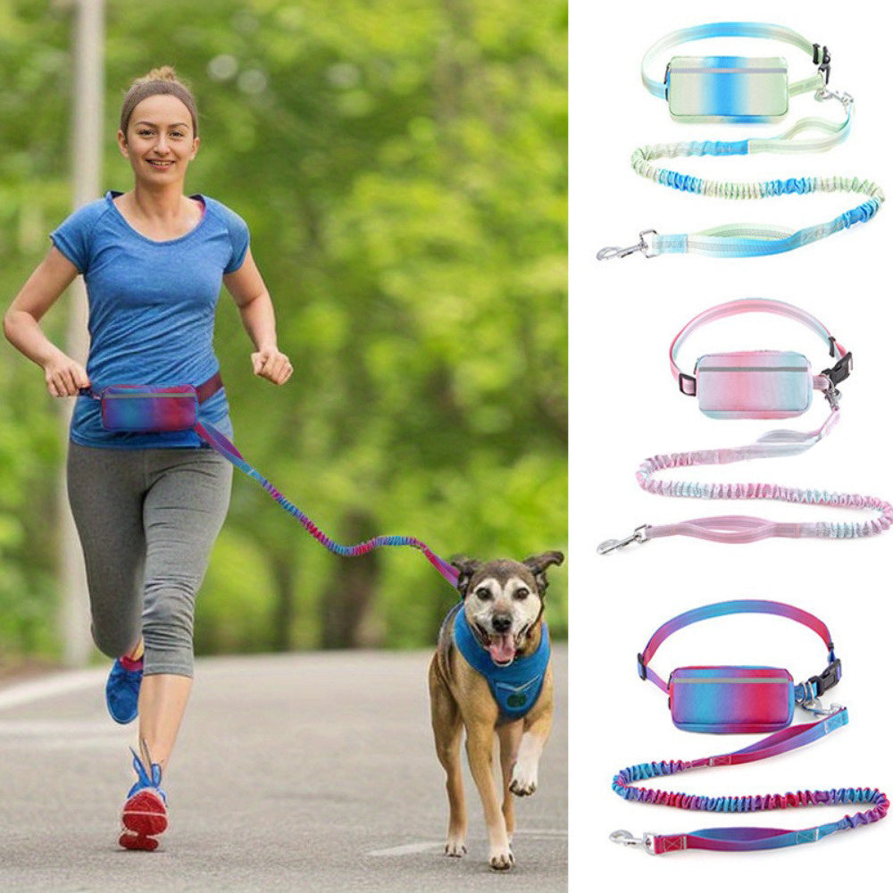 Arnés Deportivo para Perros – Ideal para Actividad Física y Paseos Activos