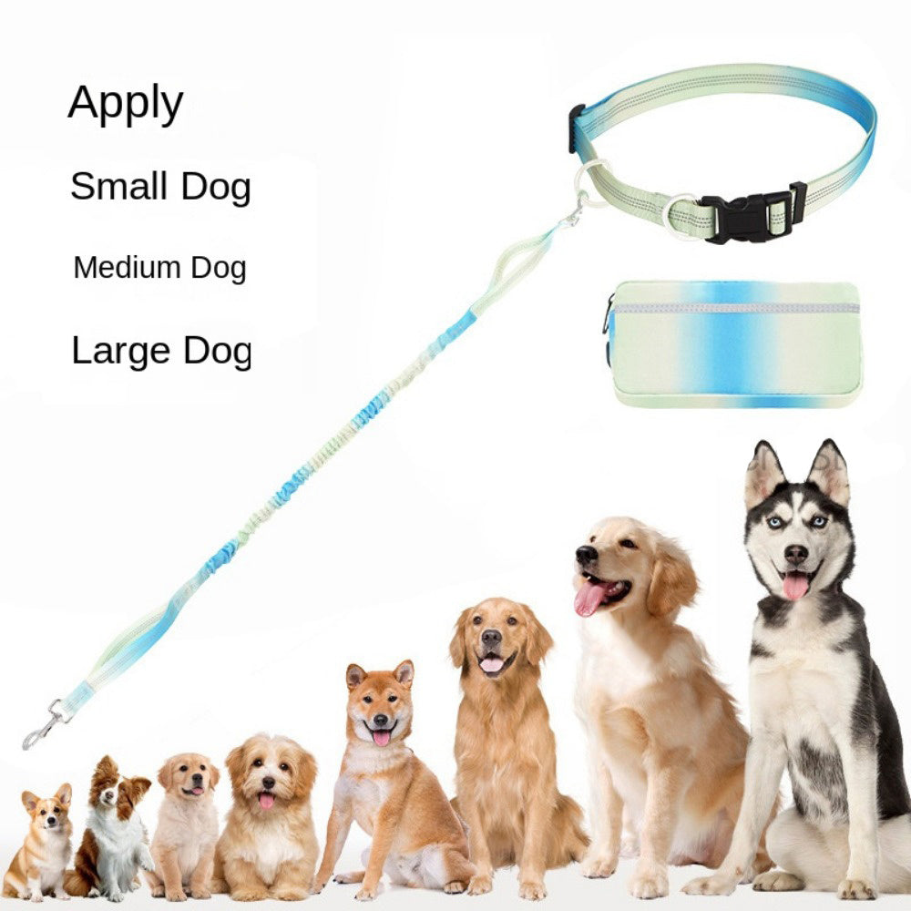 Arnés Deportivo para Perros – Ideal para Actividad Física y Paseos Activos