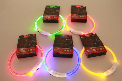 Collar Parpadeante para Mascotas – Hasta 500 m de Visibilidad por la Noche