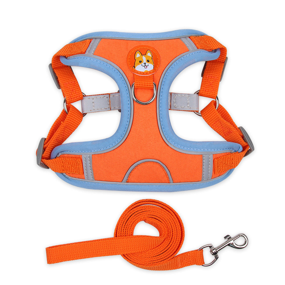 Tazón de Acero Inoxidable para Paseos