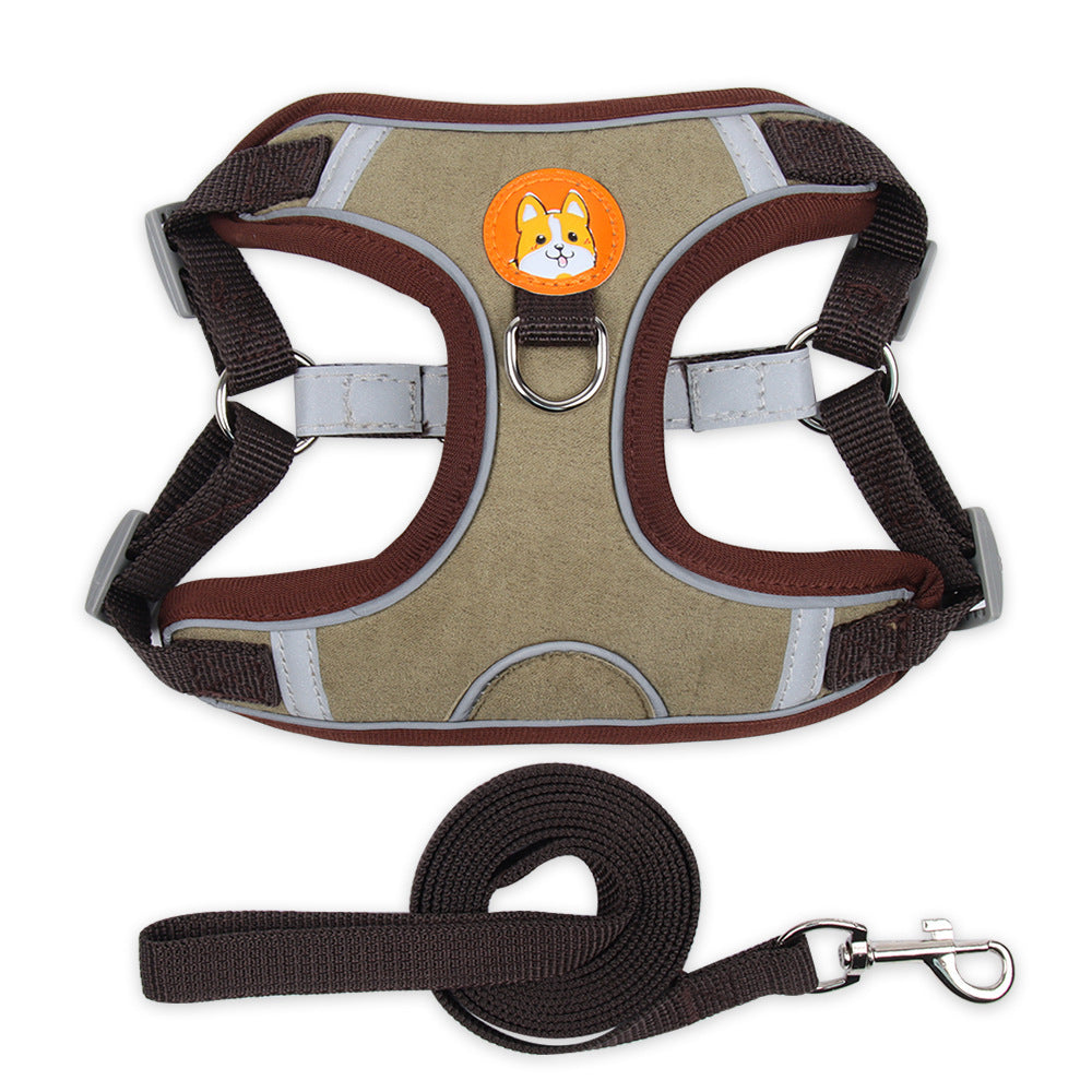 Tazón de Acero Inoxidable para Paseos