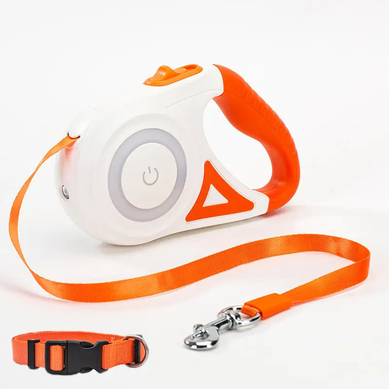 Smart Leash That Lights Up Automatically