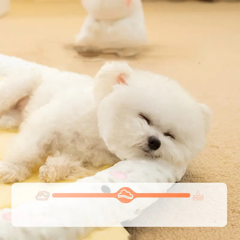 Orthopedic Comfort for Dogs Who Deserve It